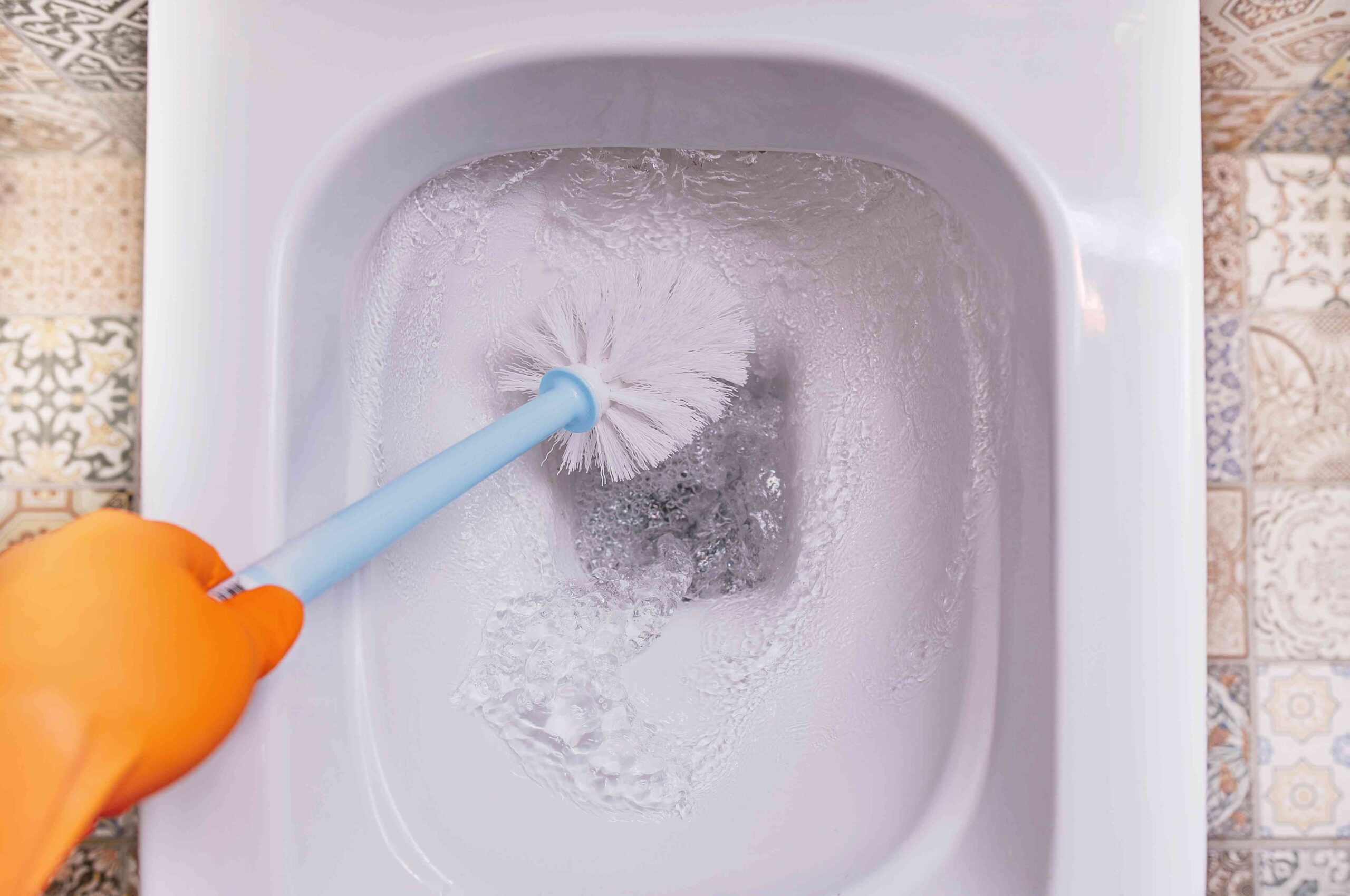 How Sometimes Do You Actually Should Alternate Your Rest room Brush?